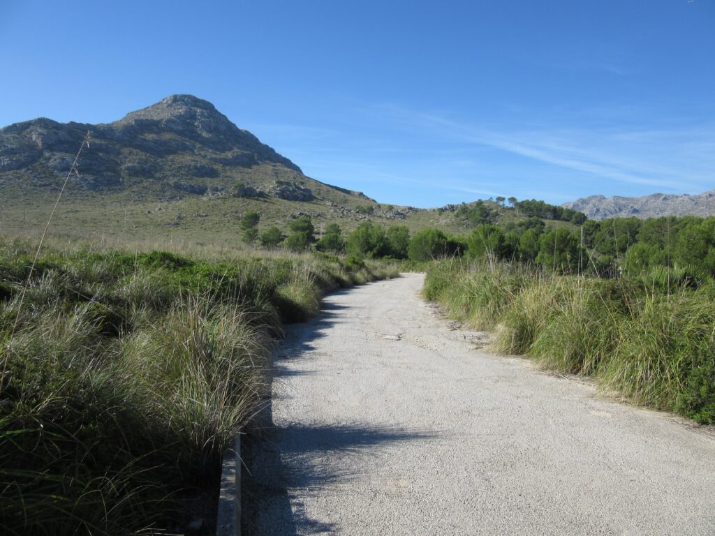 nature forest path mountain location manager commercial content fixer producer mallorca palma shoot film video spain scout recce local permit permission